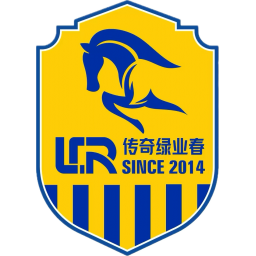 山西龙盛